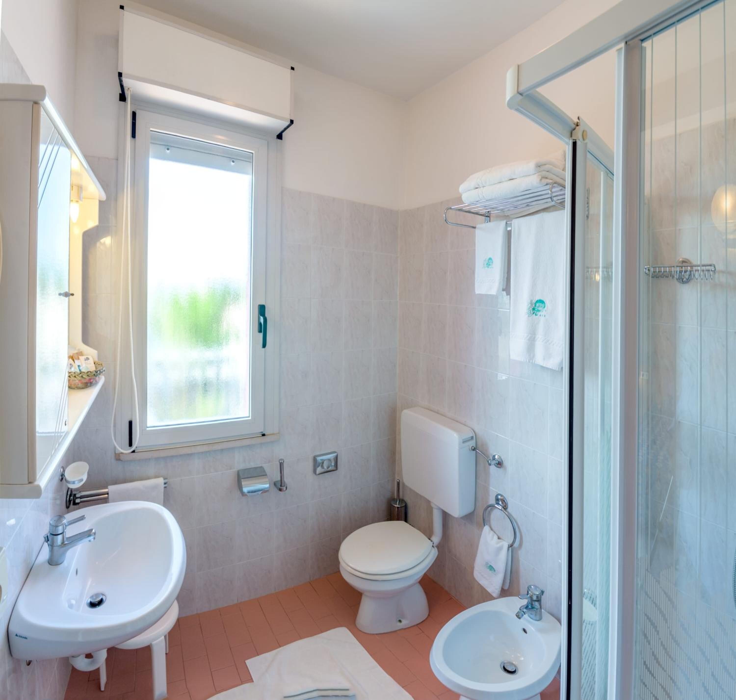 shower, free toiletries, hair dryer, bidet