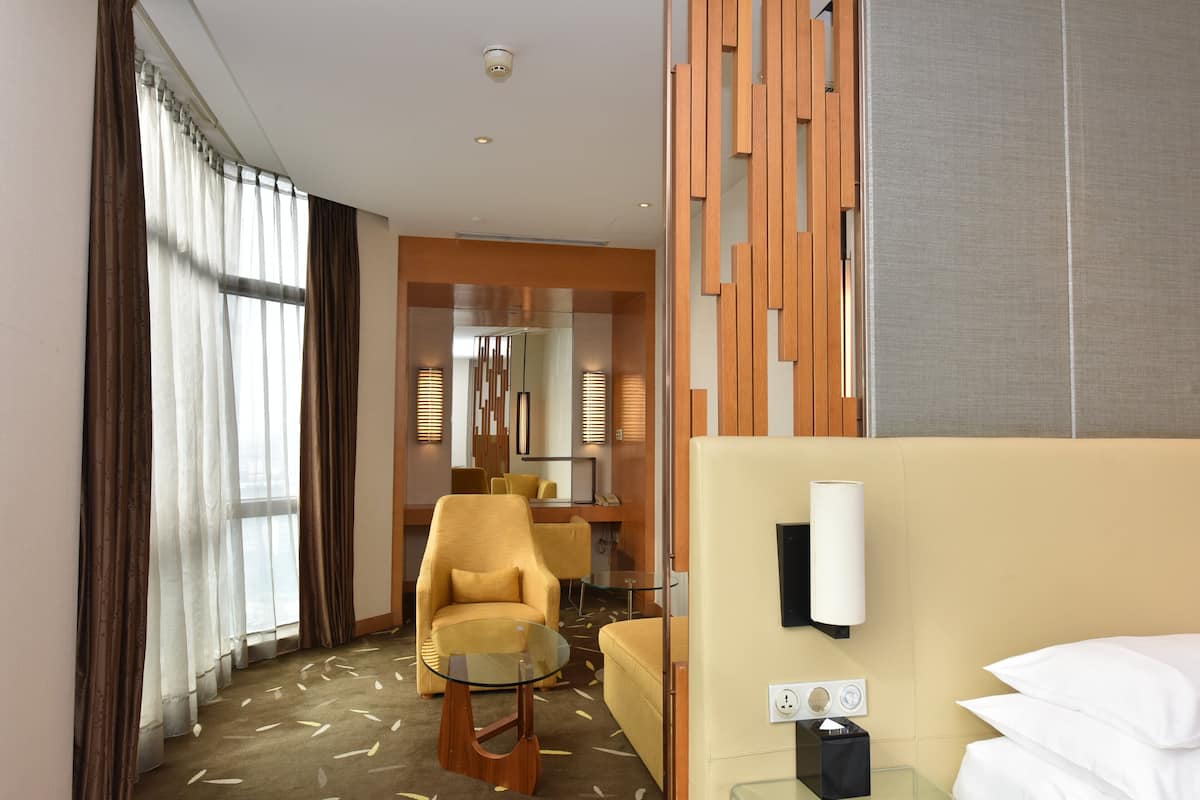 Minibar, coffres-forts dans les chambres, fer et planche à repasser