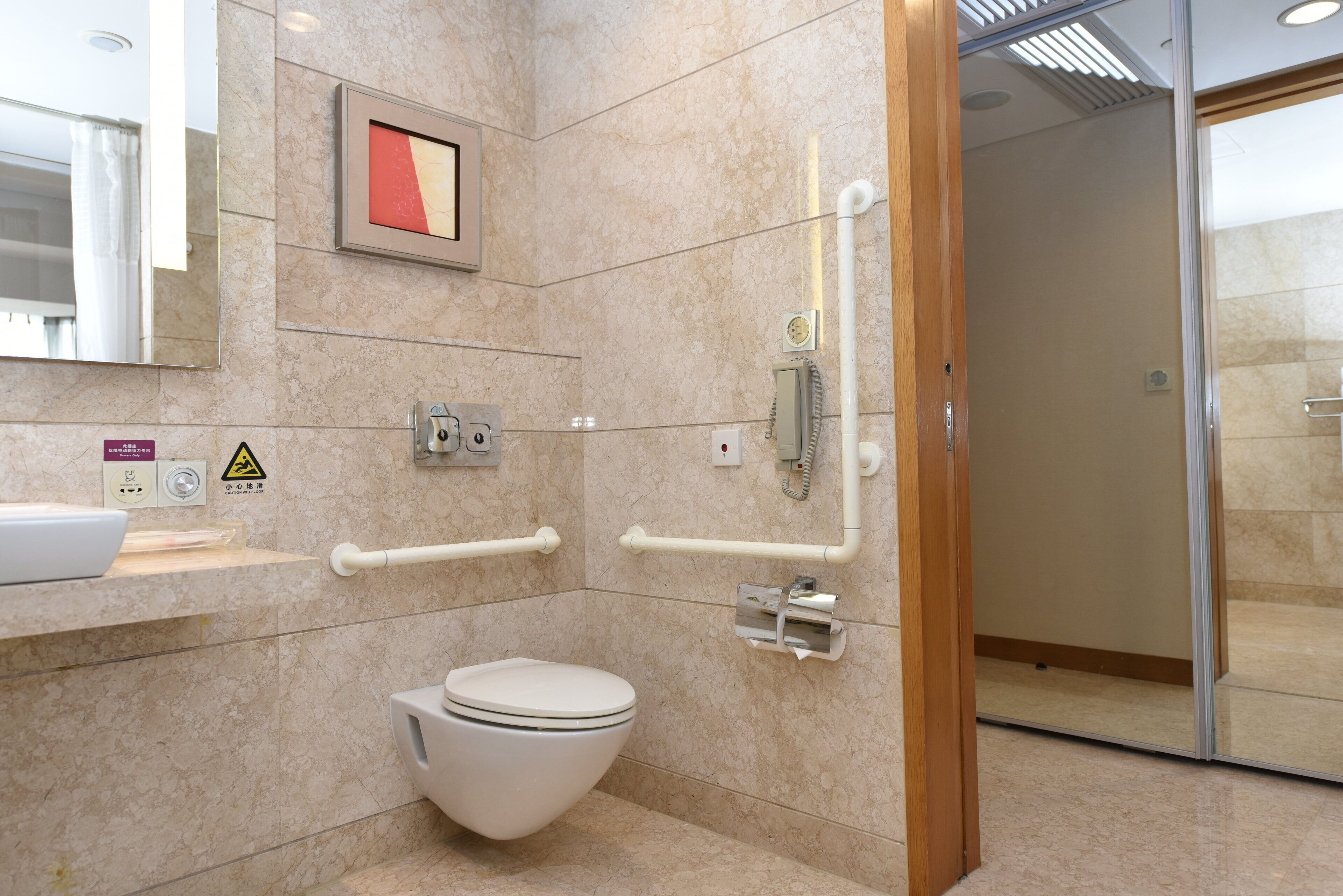 A modern bathroom with a toilet, handrails, a sink, and a shower area.
