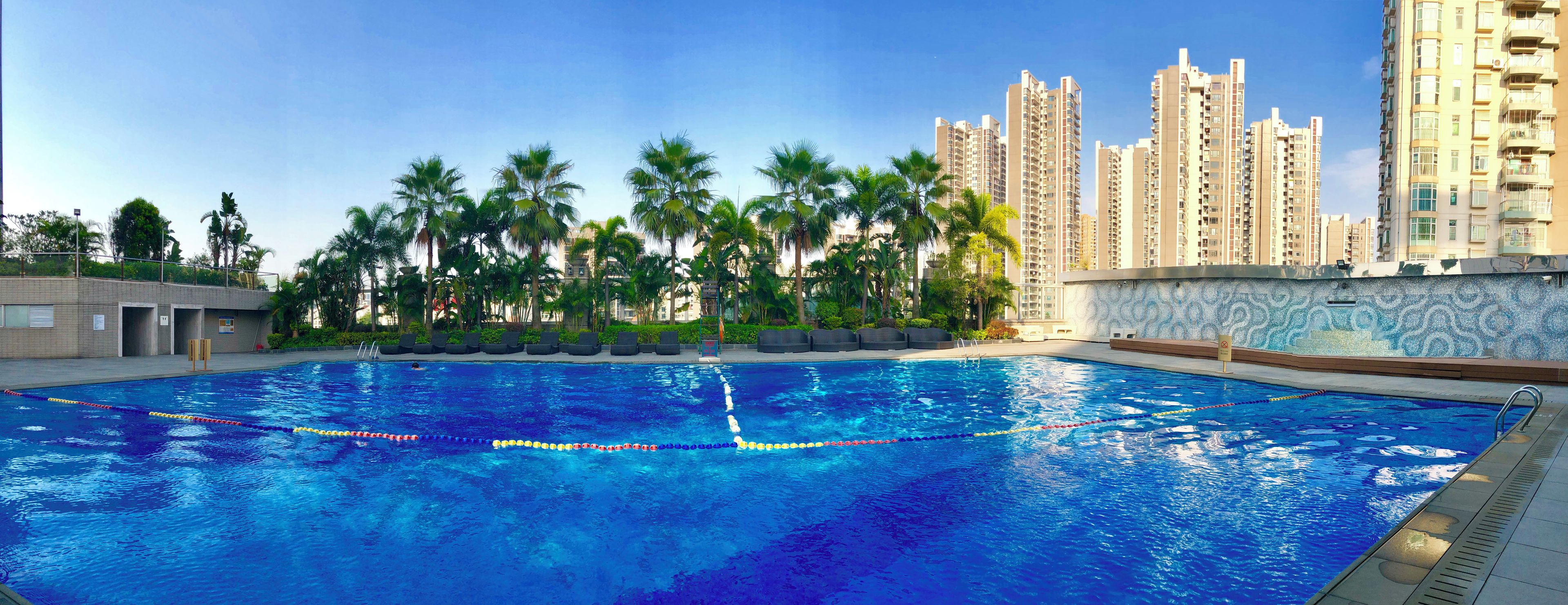 Una piscina con agua azul cristalina, rodeada de palmeras y altos edificios residenciales.