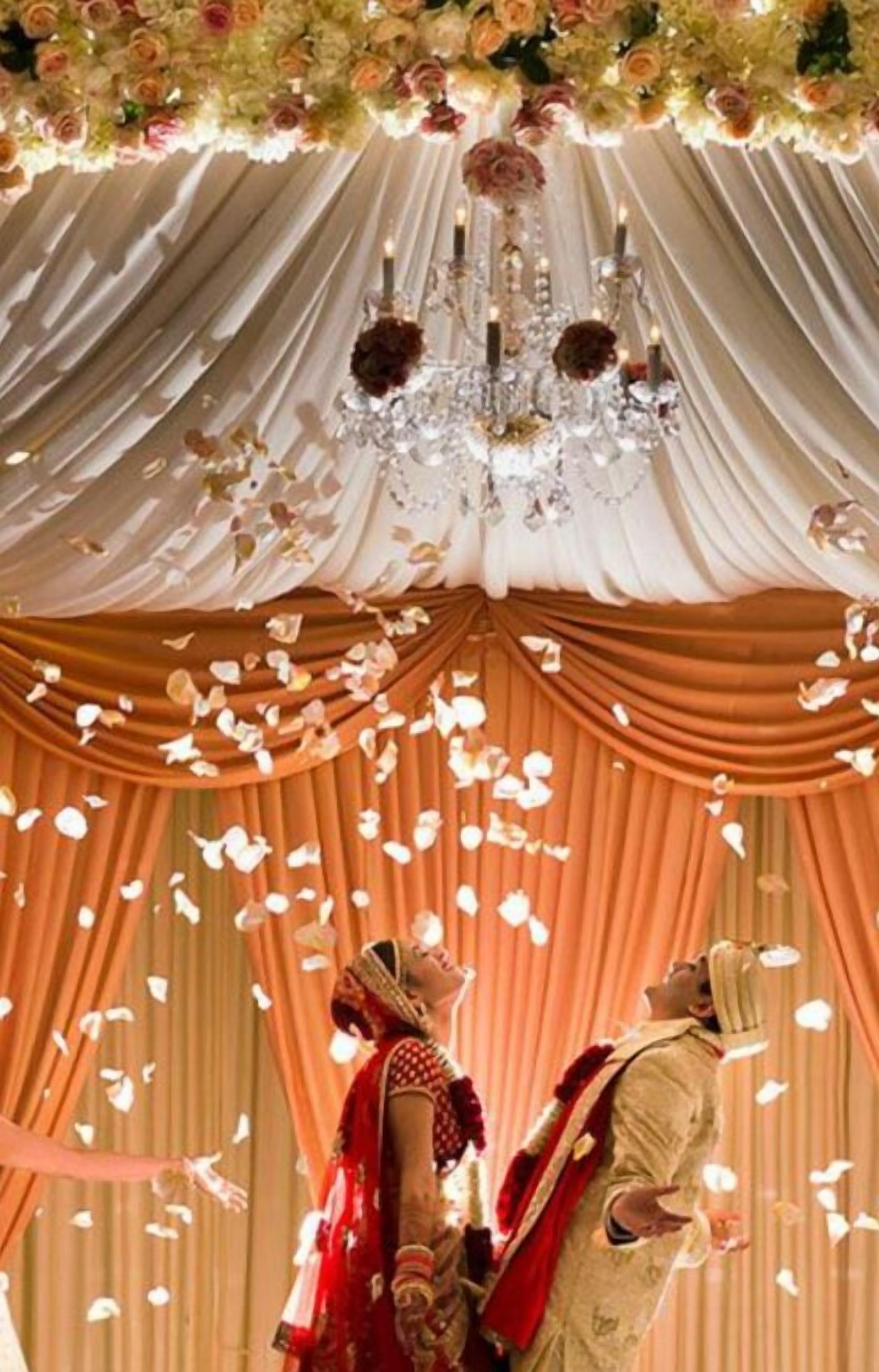 outdoor wedding area