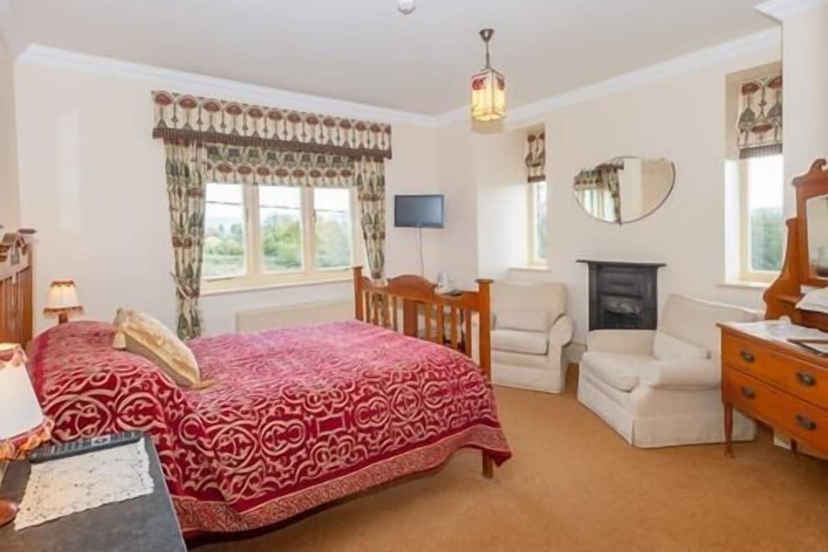 A bedroom with a large bed, a wooden dresser, a chair, a television, and a fireplace.