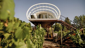 Una estructura arquitectónica moderna con techo curvo y una escalera que lleva hacia ella.