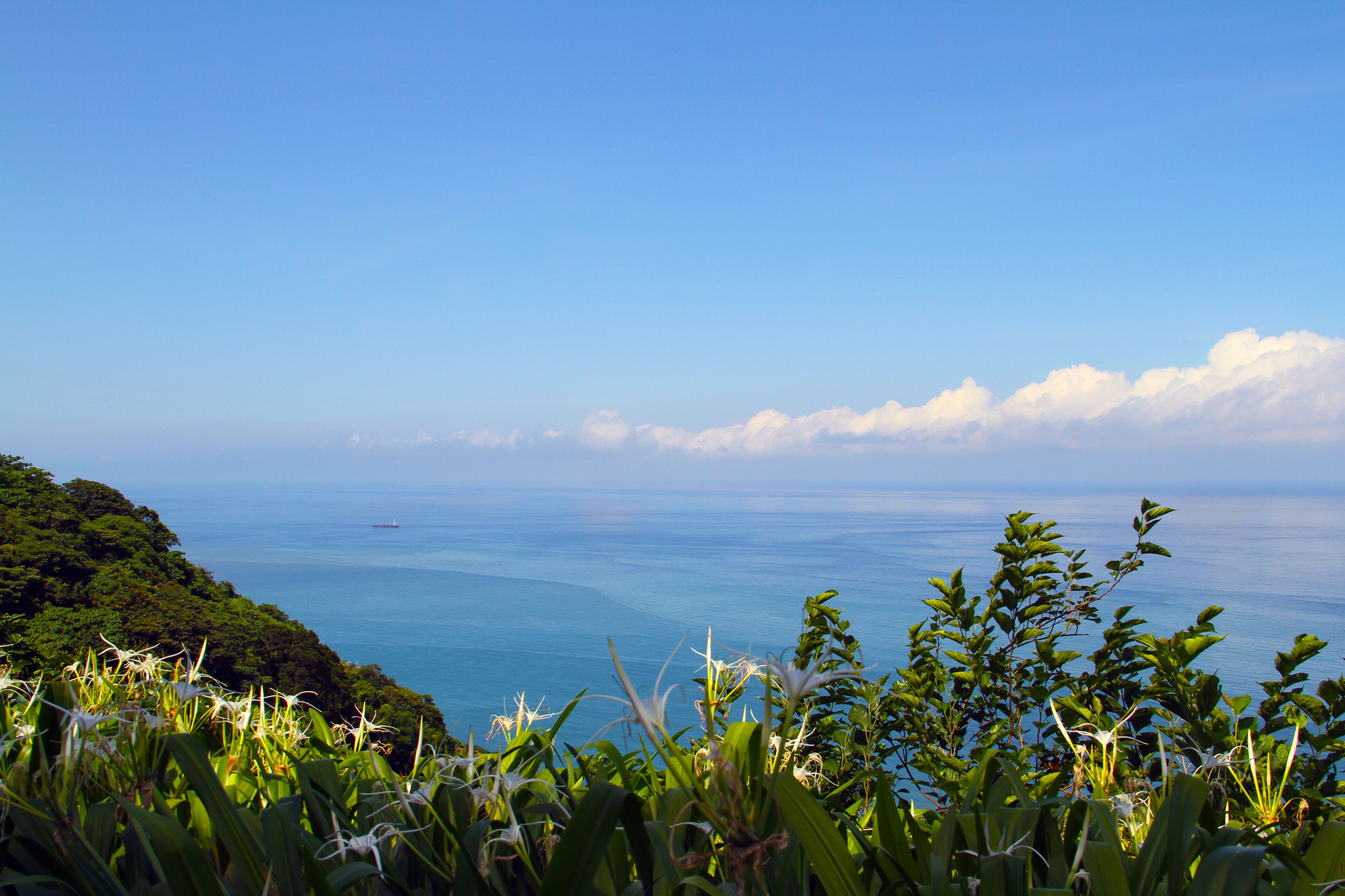 A coastal landscape with a view of the sea and a ship in the distance.