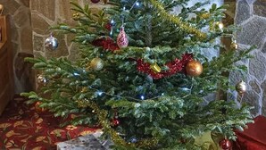 Un sapin de Noël décoré d’ornements et de guirlandes lumineuses, entouré de cadeaux emballés.