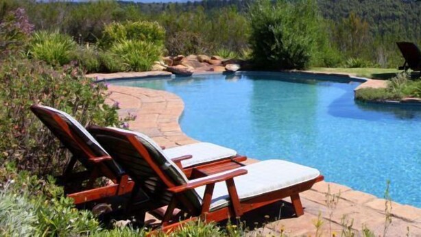 Une piscine à bords incurvés, entourée de chaises longues et bordée d’un chemin en pierre.