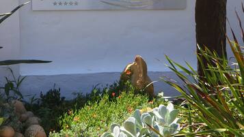 A garden with a sign that reads "fynbos ridge" and a large tree trunk.