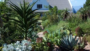 Un jardin avec différentes espèces de plantes et un bâtiment blanc en arrière-plan.