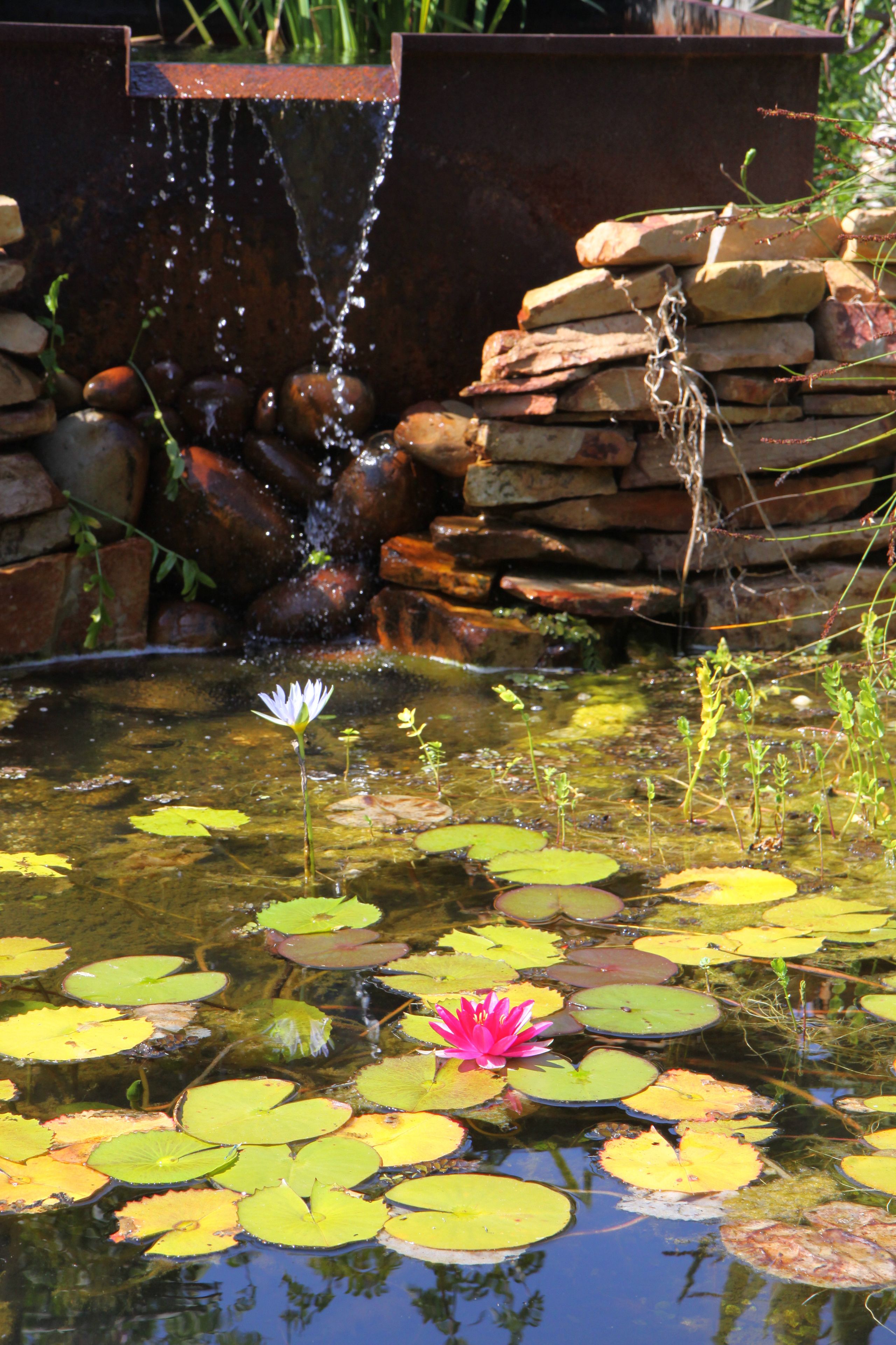 Fountain