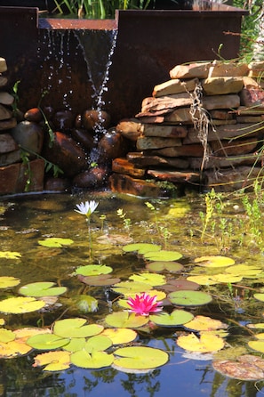 Fountain - Fynbos Ridge (Plettenberg Bay)