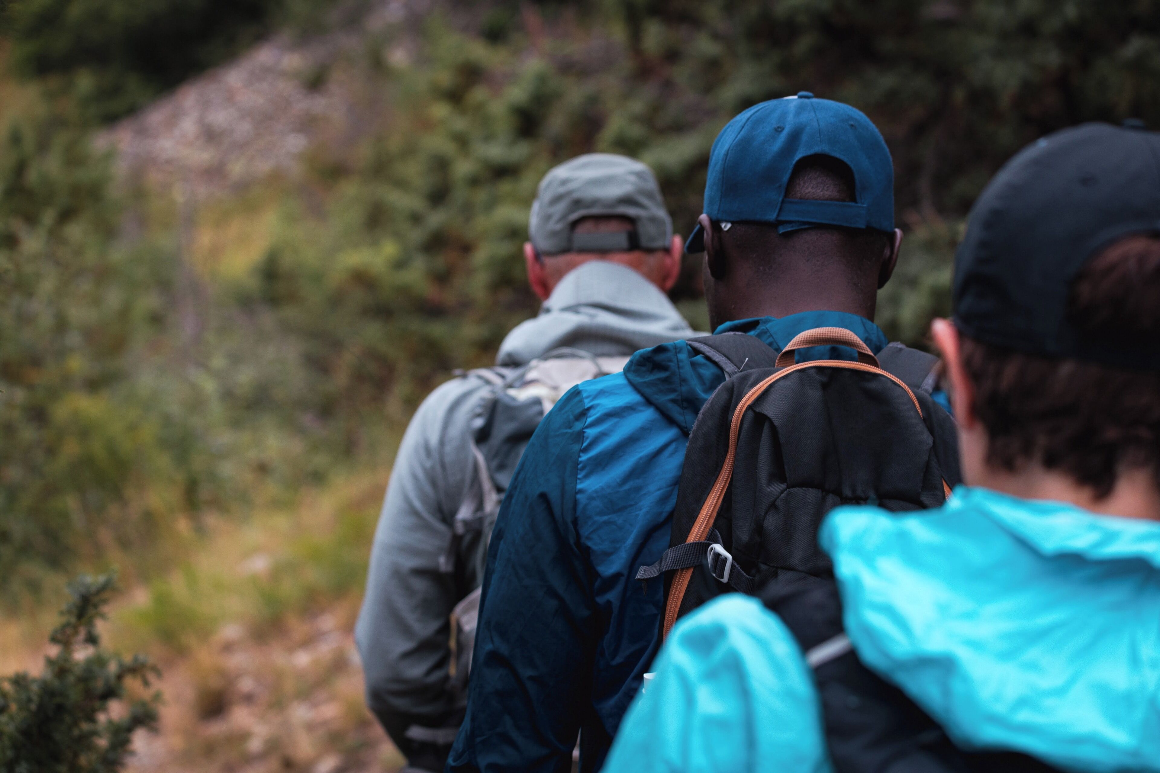 Un grupo de excursionistas caminando por un sendero rodeado de vegetación.