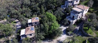 Gera's Olive Grove