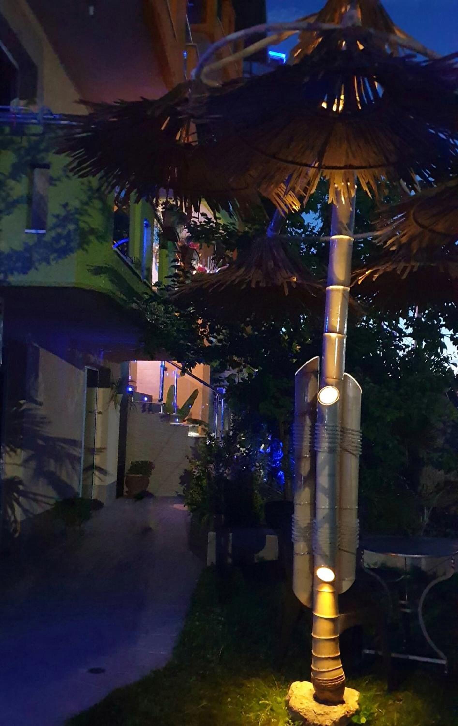 A well-lit outdoor area with a central palm tree, surrounded by greenery and a pathway leading to a building entrance.