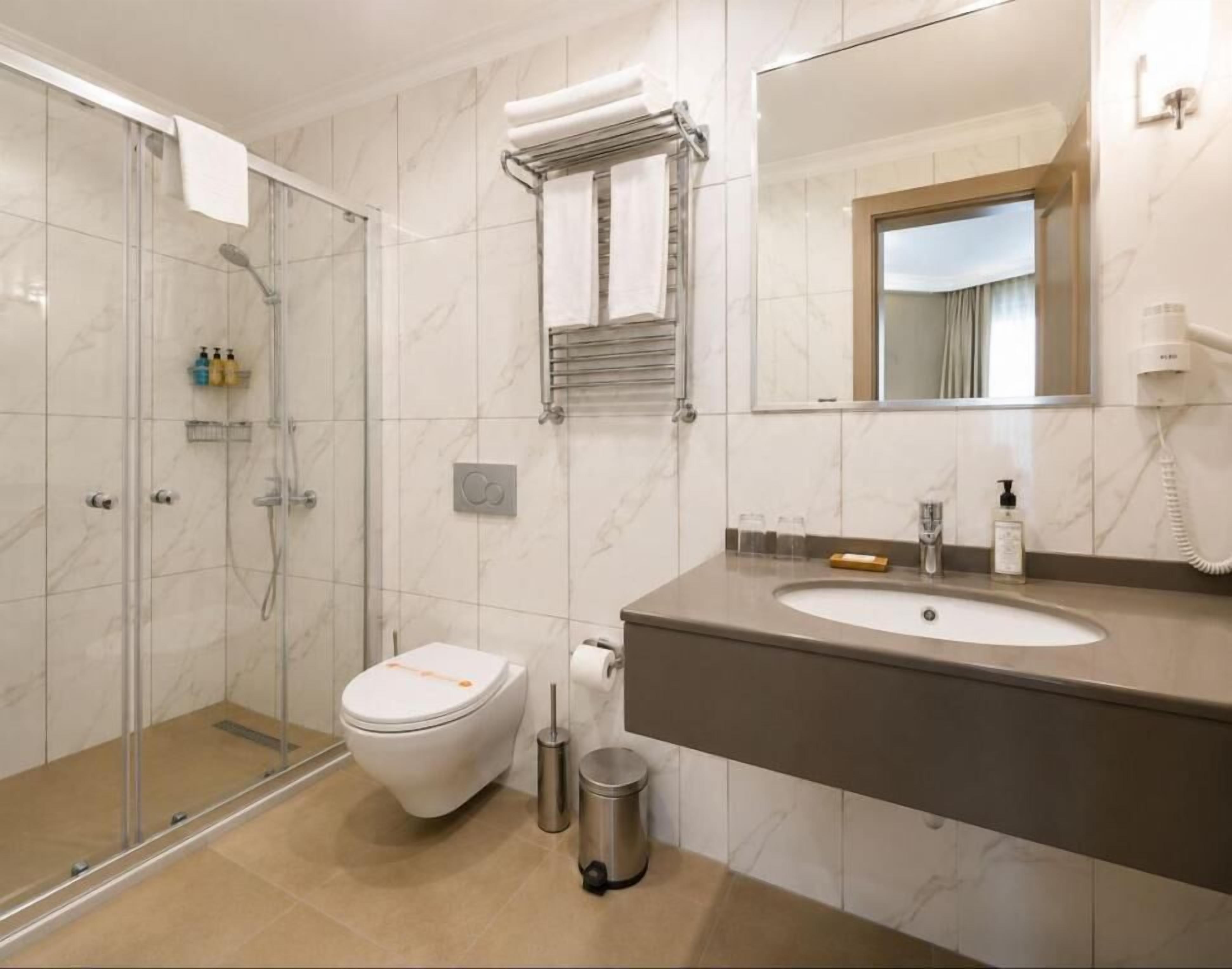 A modern bathroom with a glass shower enclosure, a toilet, a sink with a vanity, and a mirror.