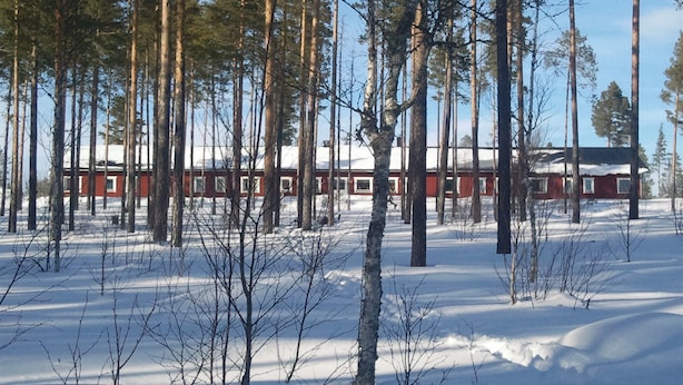 Een blokhut omringd door hoge bomen in een besneeuwd landschap.