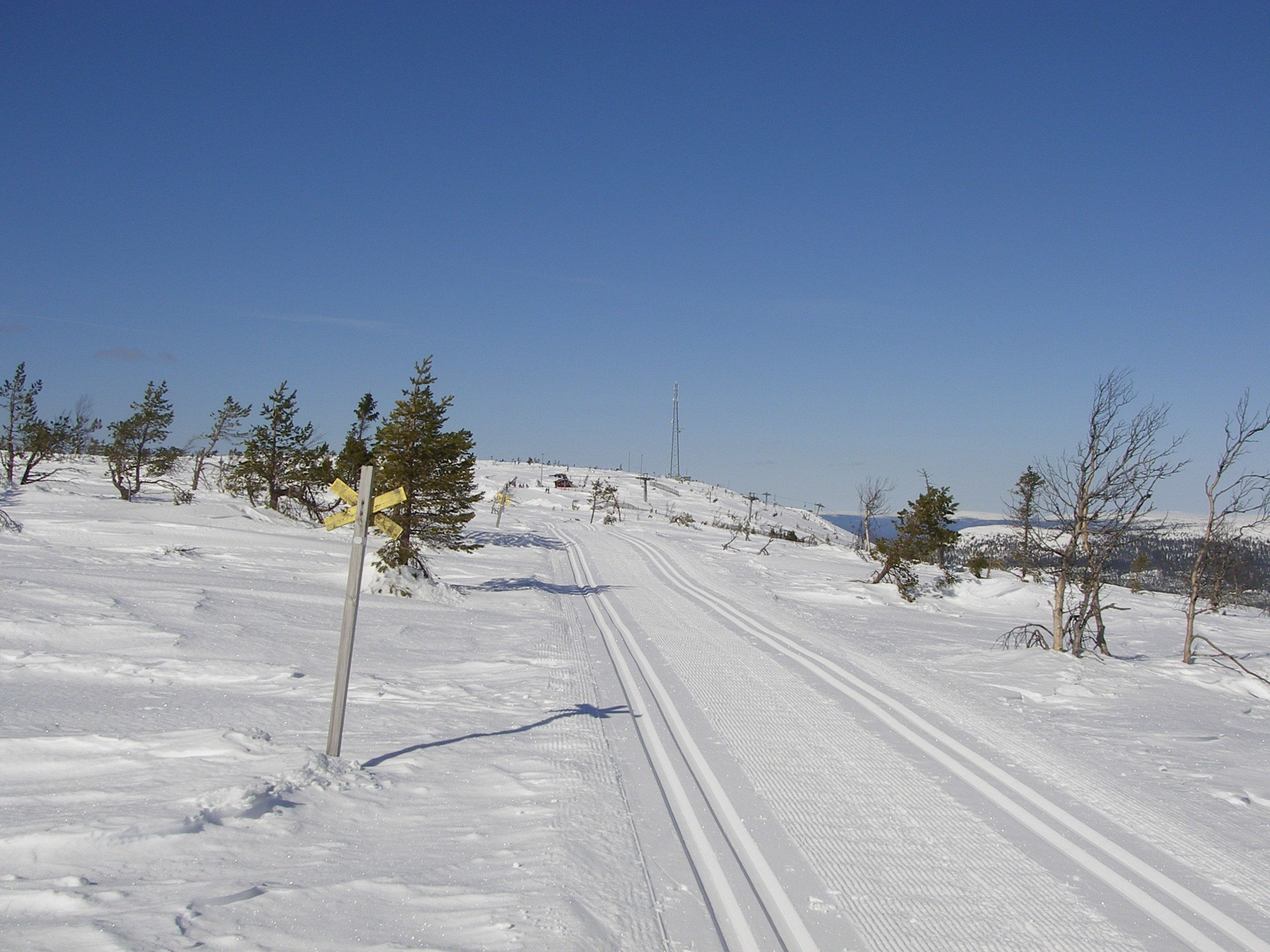 Snø- og skisport