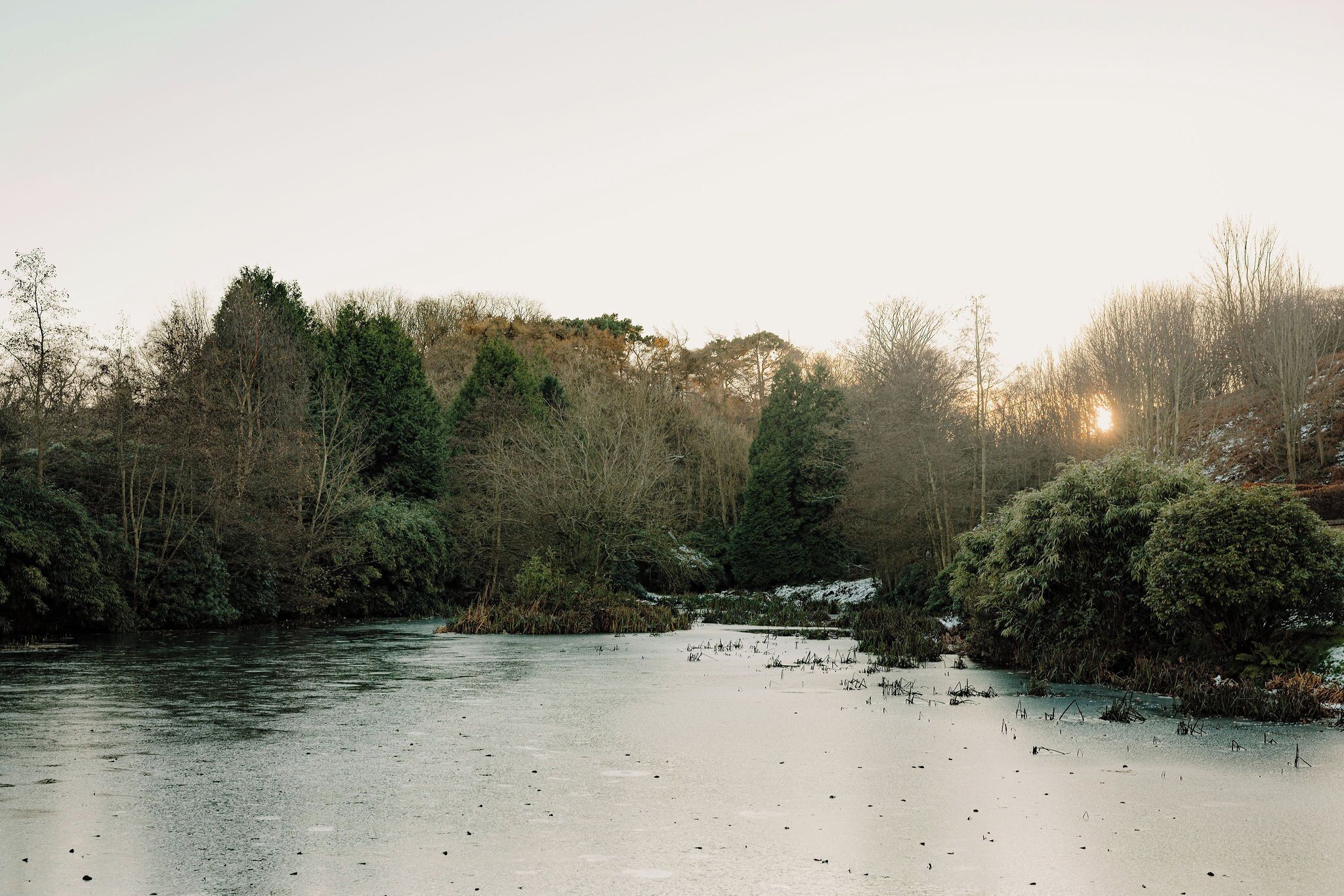 A river surrounded by dense forest and trees.