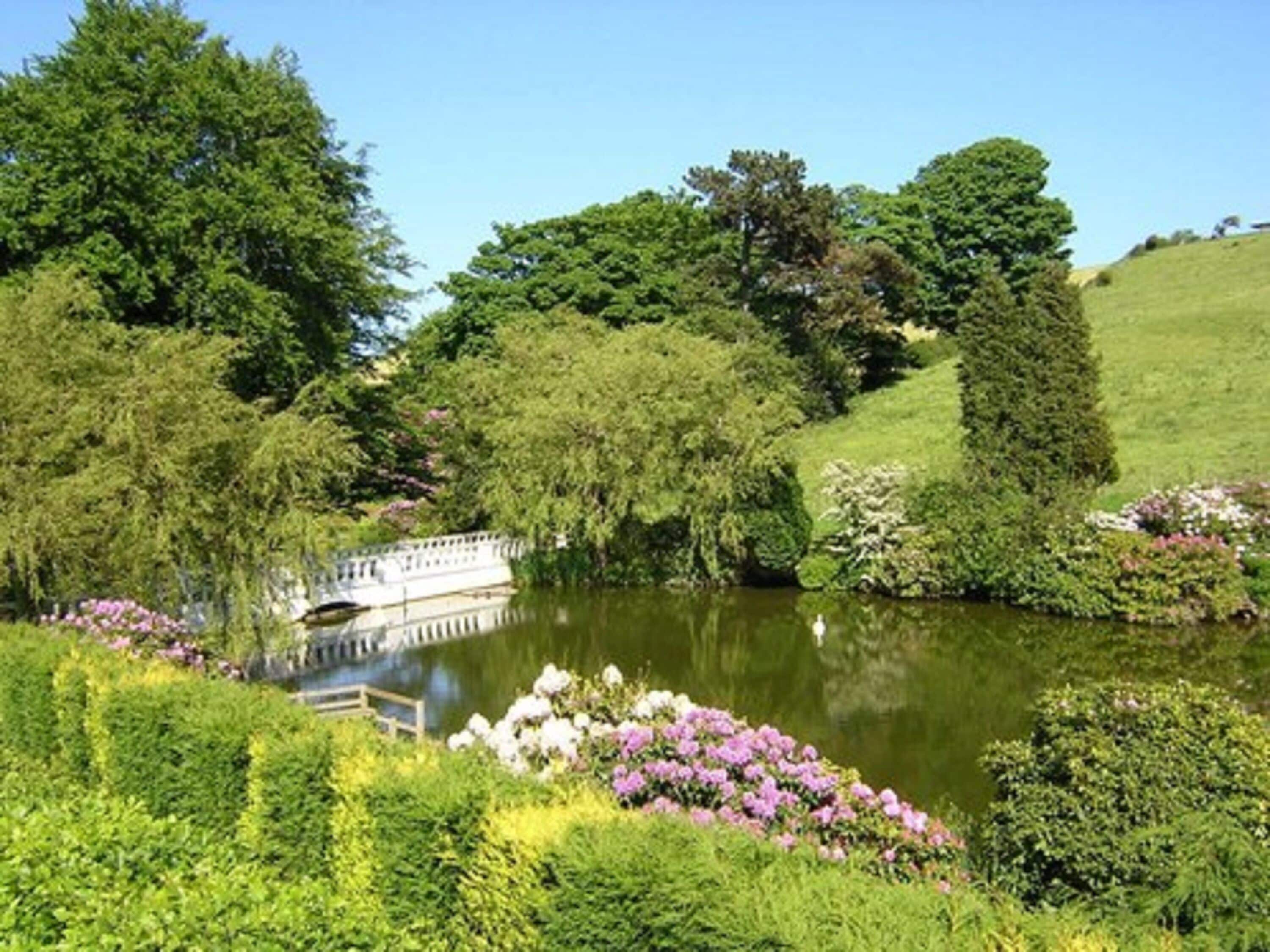 Een rustige tuin met een vijver, weelderige begroeiing en een brug.