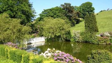 A serene garden with a pond, lush greenery, and a bridge.