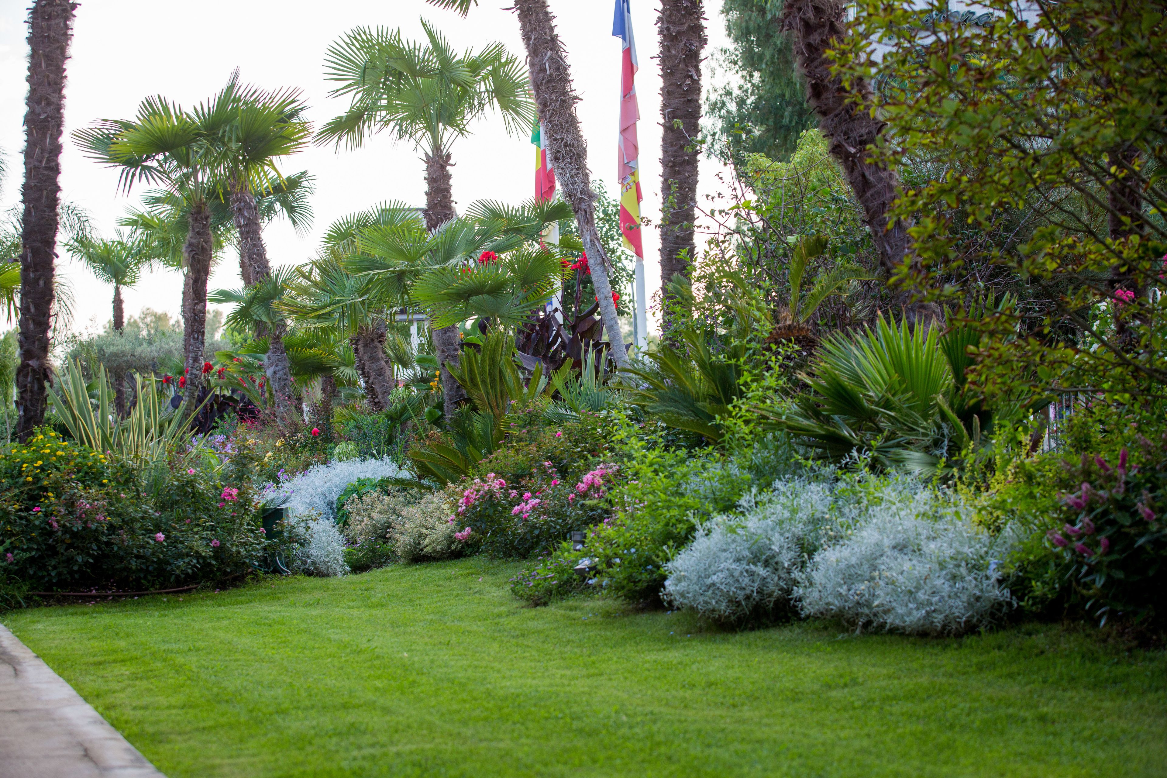 A lush garden with palm trees, various flowering plants, and a well-maintained lawn.