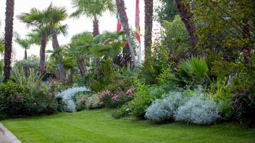 A lush garden with palm trees, various flowering plants, and a well-maintained lawn.