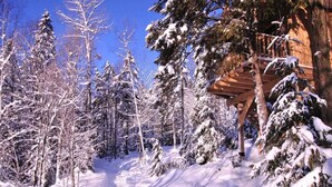 A snow-covered forest path with a wooden structure, likely a cabin or shelter, surrounded by evergreen trees. - Les Chalets du Trappeur avec Spa et Sauna (Wentworth-Nord)