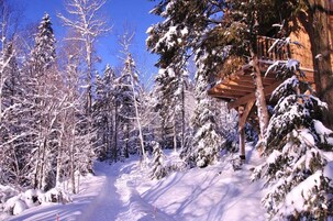 Camino nevado entre un bosque de árboles de hoja perenne, con una estructura de madera, posiblemente una cabaña o refugio.