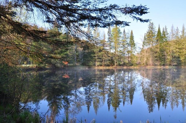 A calm lake surrounded by dense forest. - Les Chalets du Trappeur avec Spa et Sauna (Wentworth-Nord)