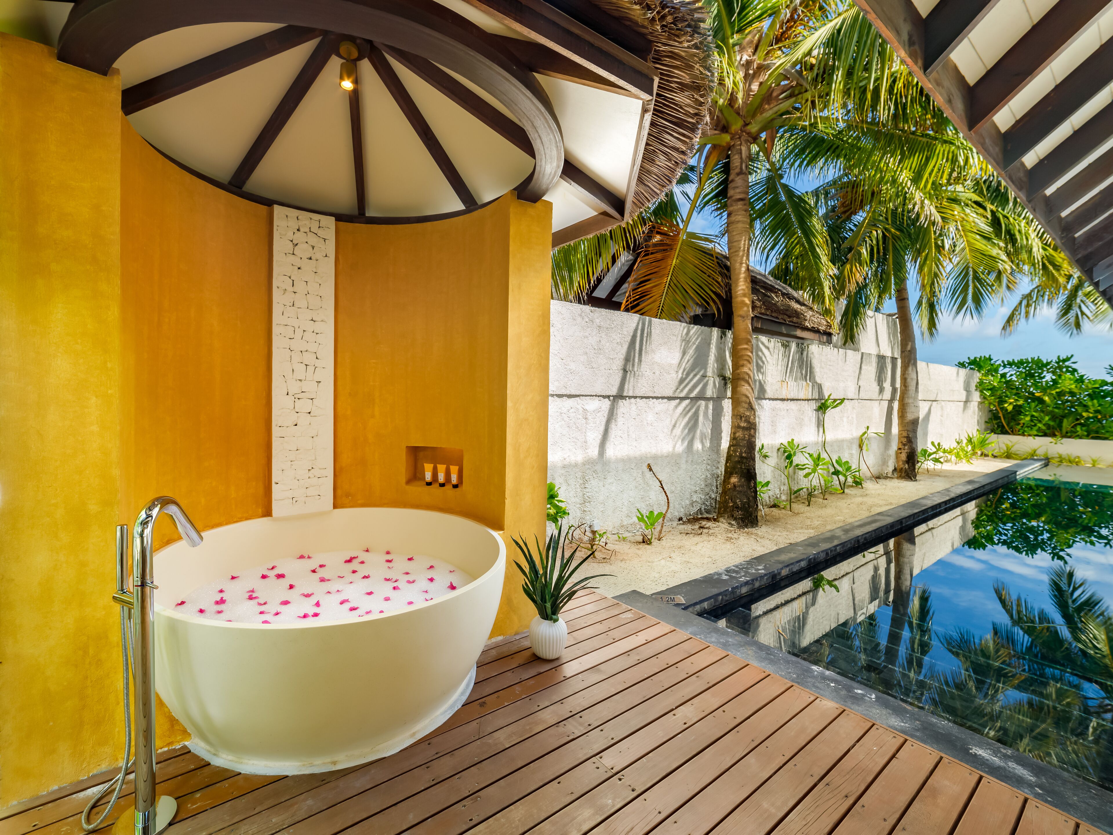 A bathroom with a freestanding bathtub, a shower, and a small potted plant.