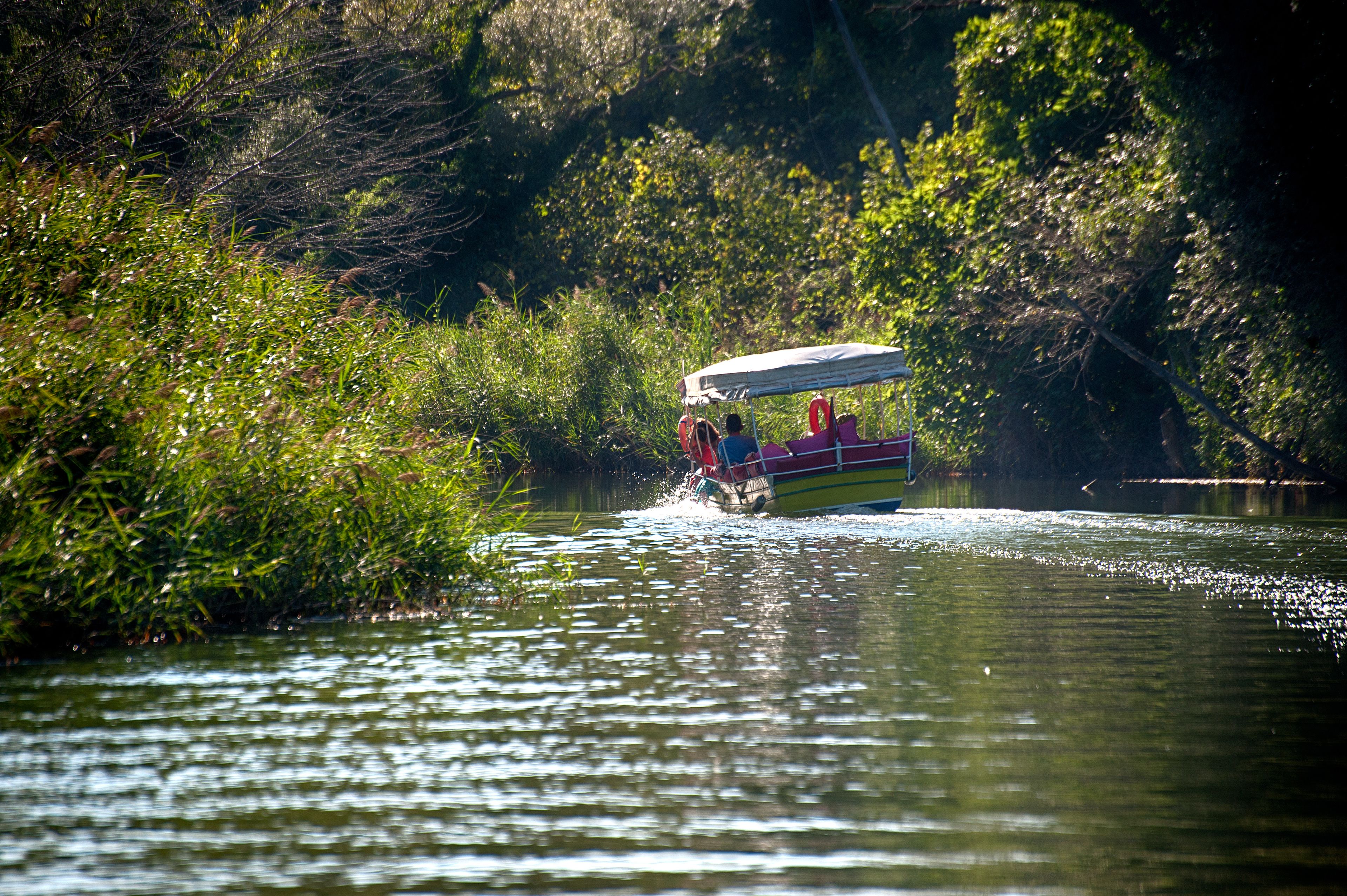 A boat with an open canopy and passengers, moving through a river surrounded by dense greenery.
