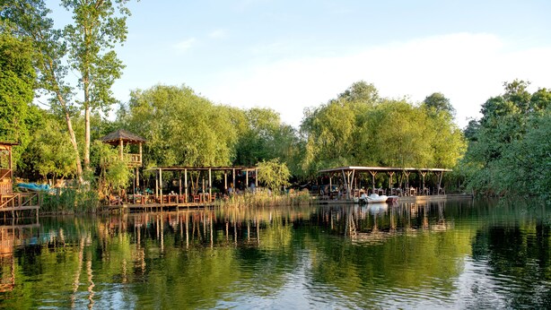A riverside park with wooden structures, a boat, and lush greenery. - Wineport Lodge Agva (Sile)