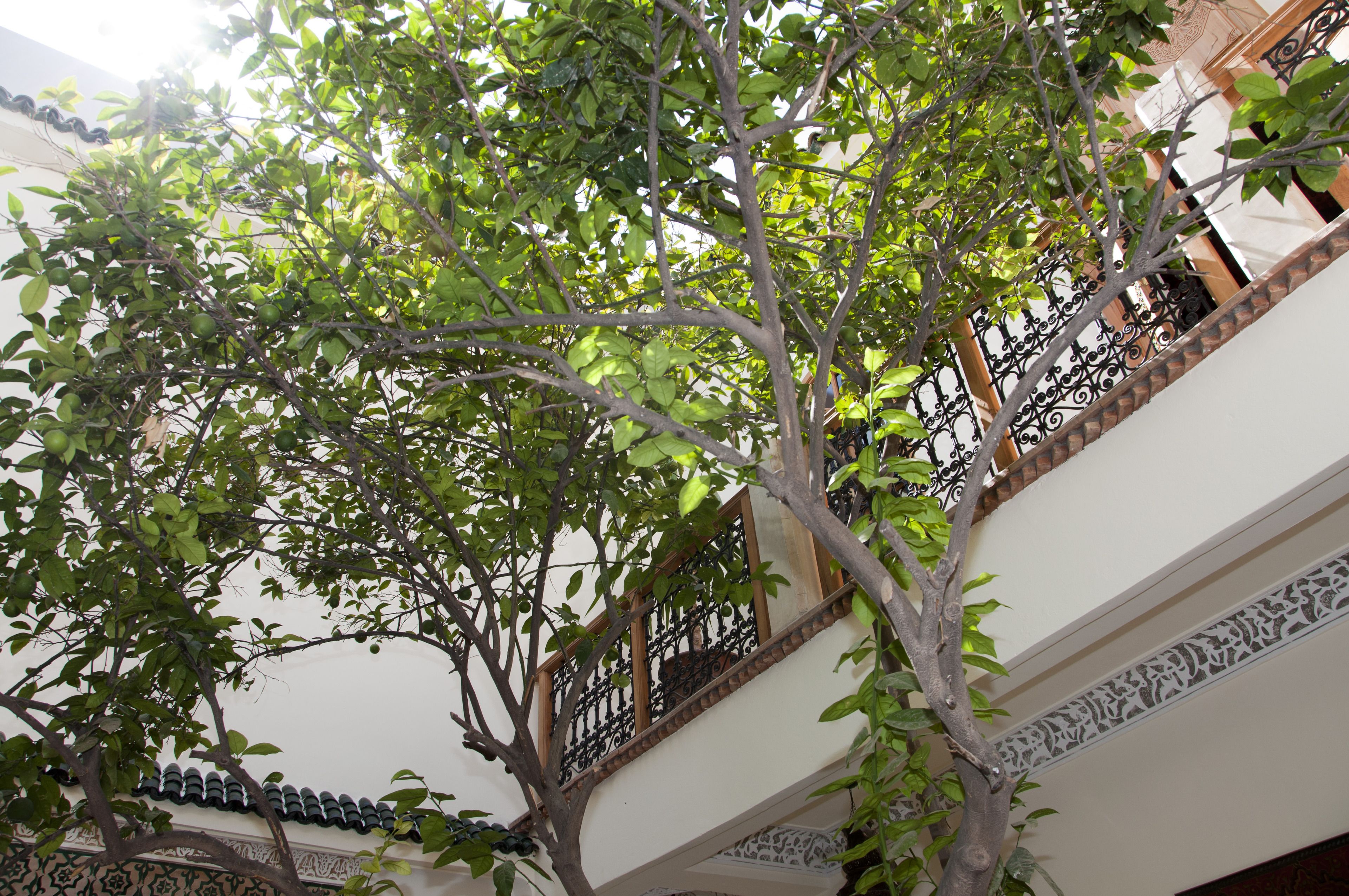 Photo - Riad Granvilier