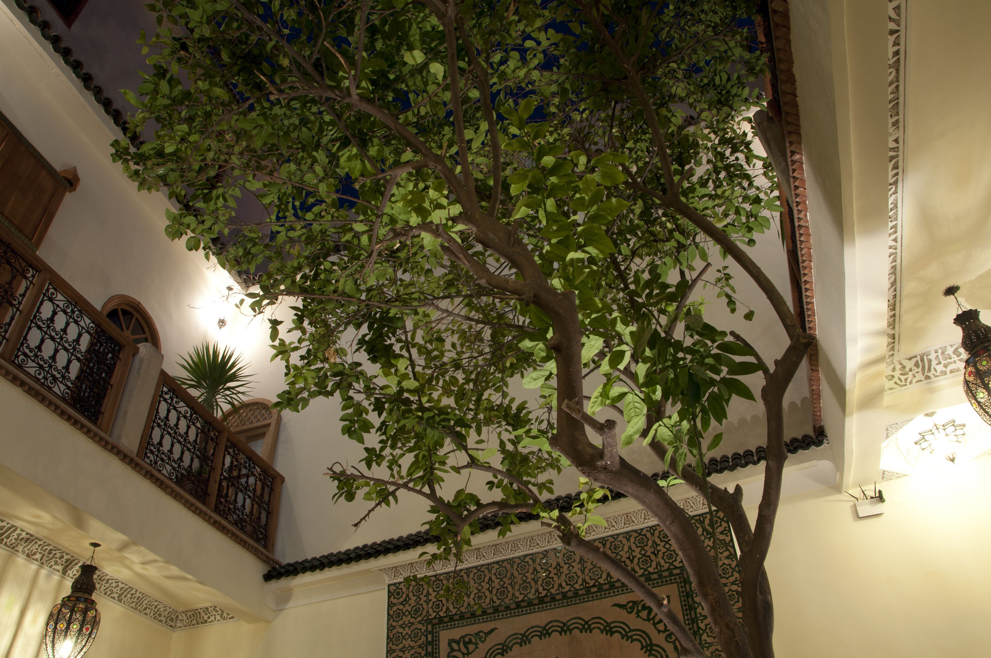 Photo - Riad Granvilier