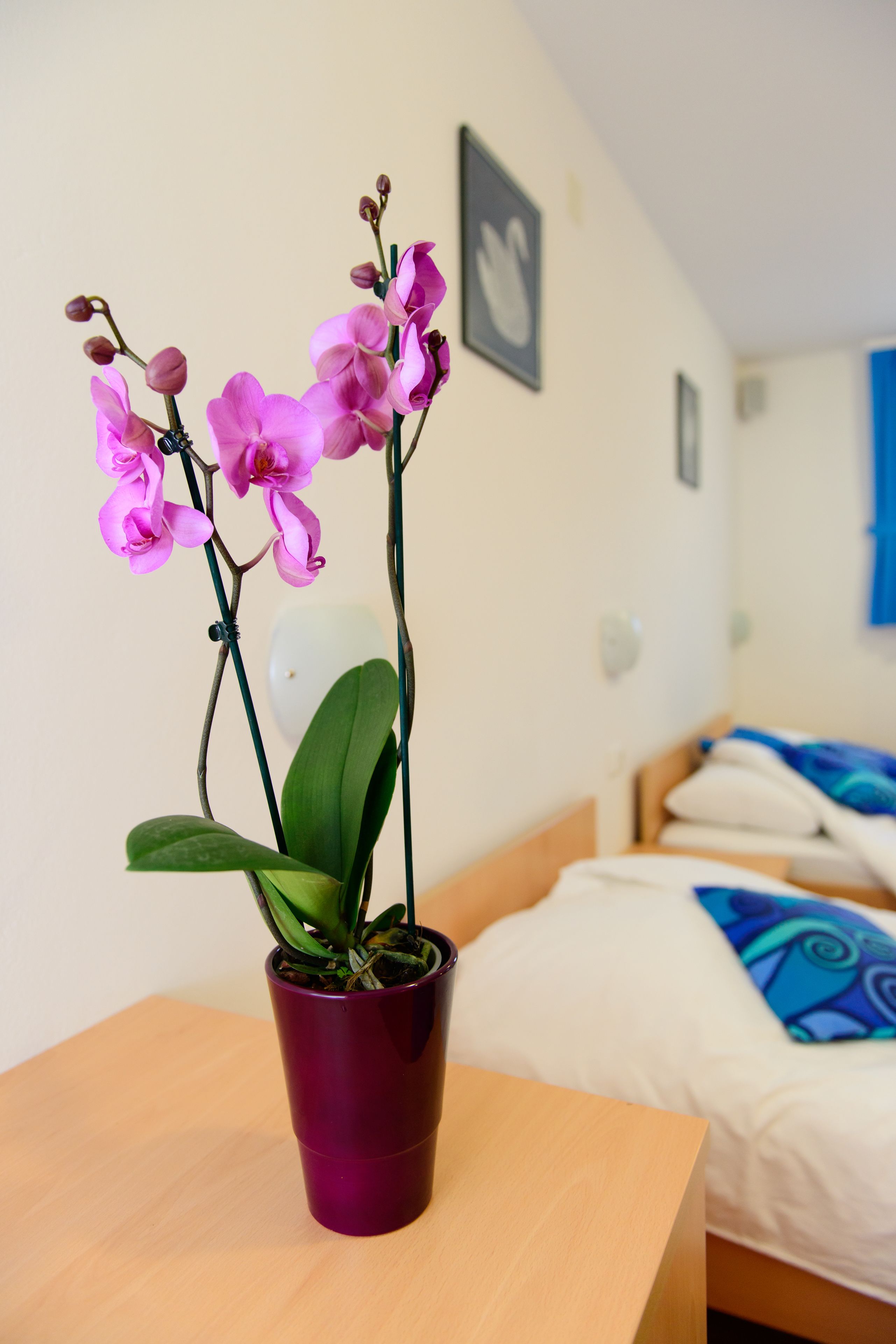 A room with a bed, a wooden table, and a purple orchid plant in a pot.