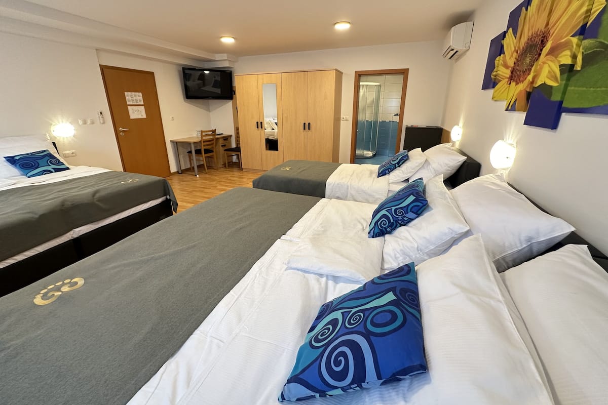 A hotel room with two single beds, a desk, and a shower area.