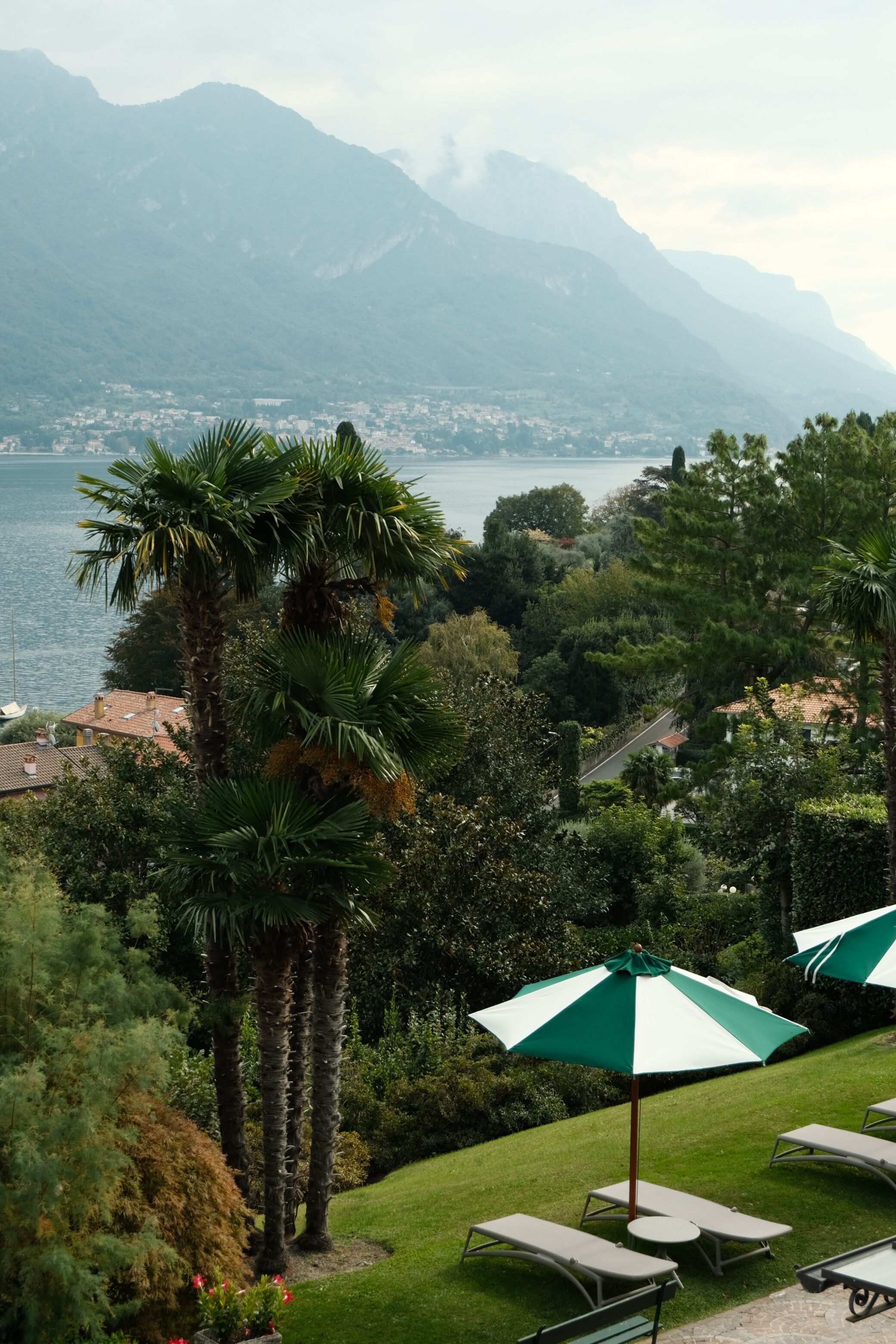 A lush garden with palm trees, a lake, and mountains in the background.
