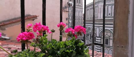 Vue sur le jardin