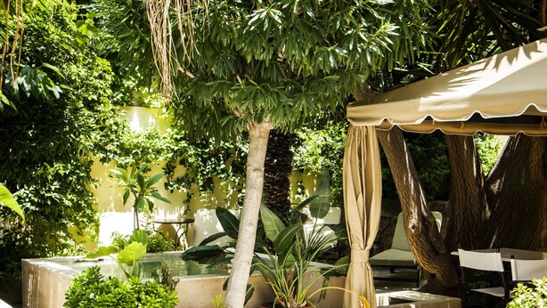 Un espace extérieur aménagé en patio, avec une table et des chaises, entouré de plantes en pot et surmonté d’une tonnelle.