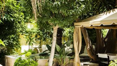 Spirit Of The Knights Boutique