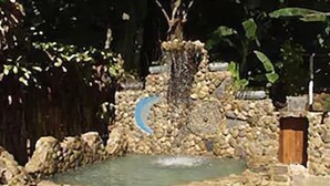 Un bassin en pierre avec une cascade, entouré de rochers et de végétation.