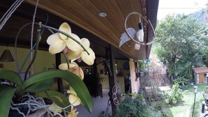 Une véranda couverte ornée d’orchidées suspendues, un mur en pierre et un jardin où poussent différentes espèces de plantes.
