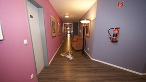 Um corredor de hotel com um cão deitado no chão, um extintor de incêndio fixado na parede e uma porta com a inscrição '26'.