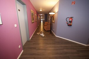 Um corredor de hotel com um cão deitado no chão, um extintor de incêndio fixado na parede e uma porta com a inscrição '26'.