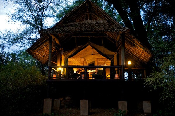 A thatched-roof pavilion with a wooden deck and hanging lights, surrounded by trees. - Samburu Intrepids Tented Camp (Samburu)