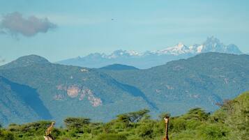 A landscape with giraffes in a grassy area, mountains in the background, and a clear sky.