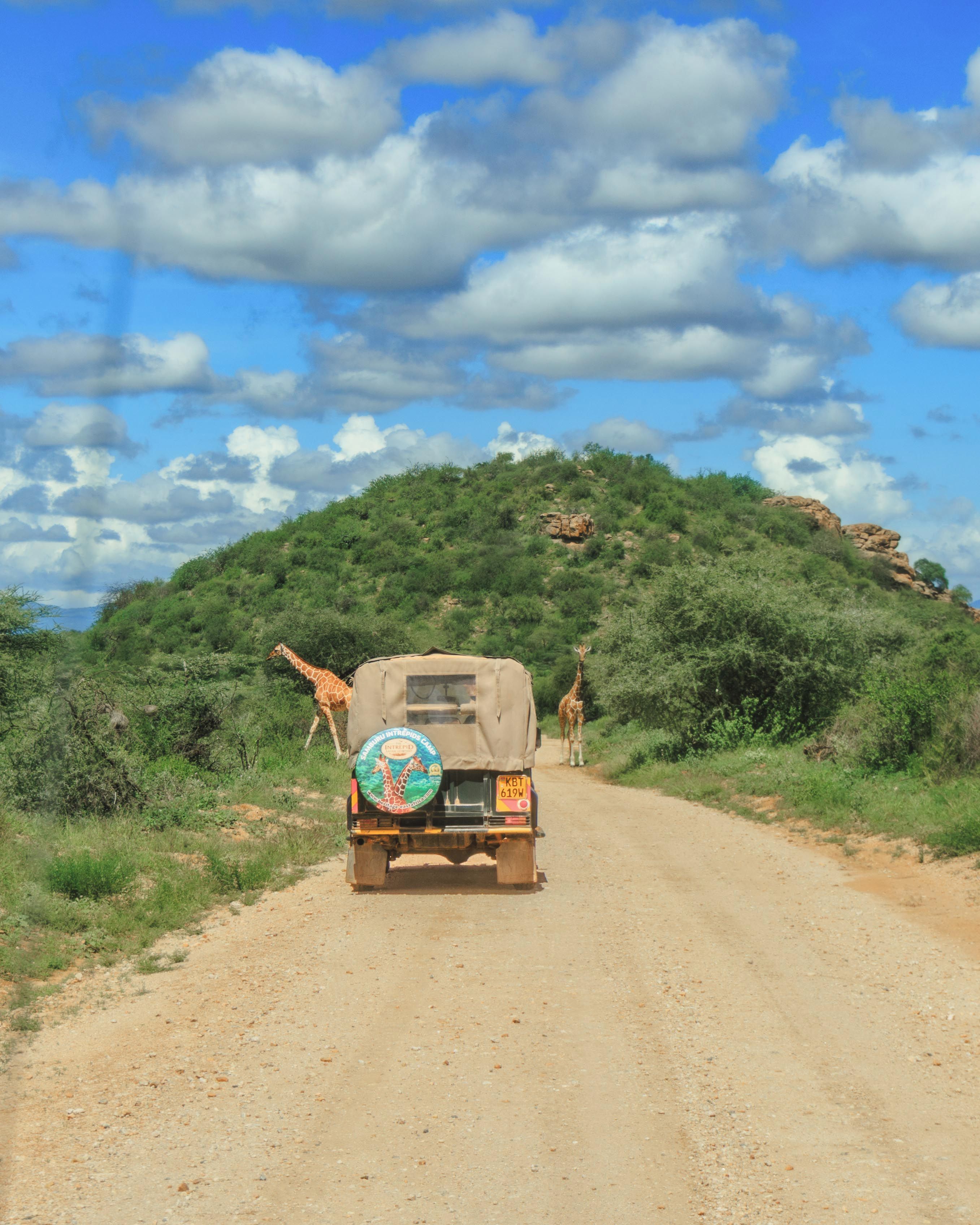 Un véhicule de safari avec une partie arrière couverte et un logo sur le côté, circulant sur un chemin de terre, avec des girafes en arrière-plan.