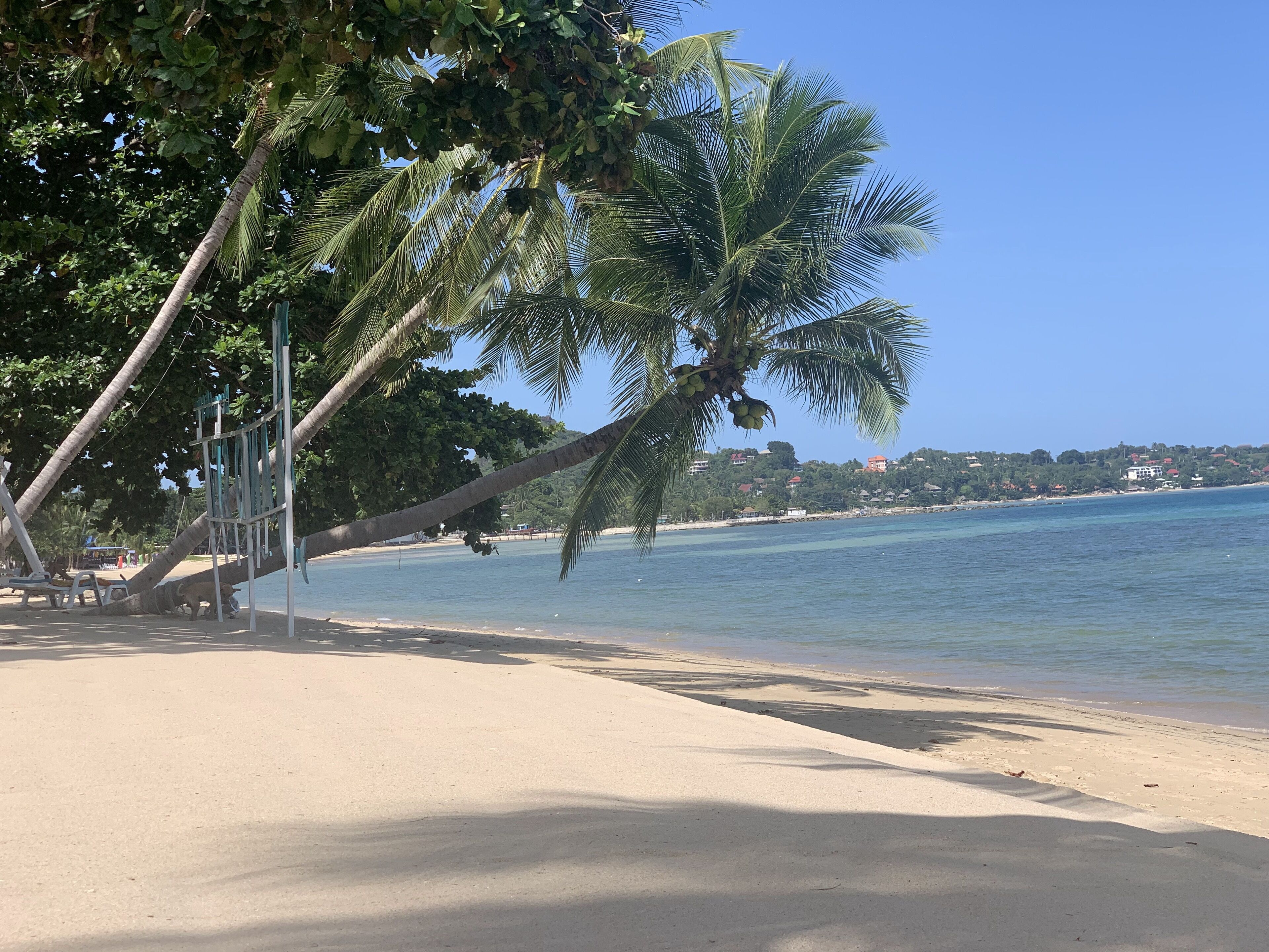 Photo - Sand Sea Beach Resort