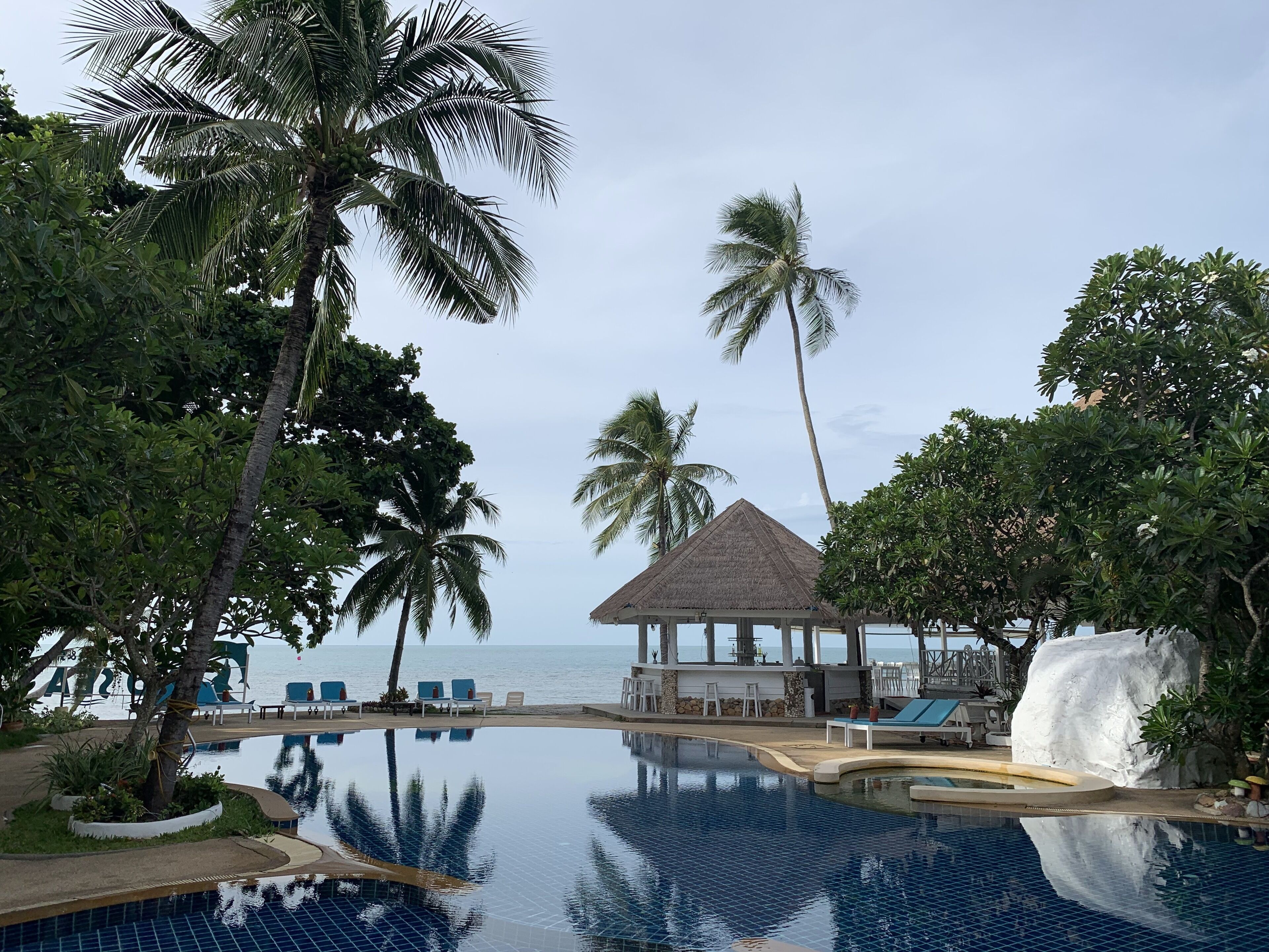 Outdoor pool, open 8:00 AM to 8:00 PM, sun loungers