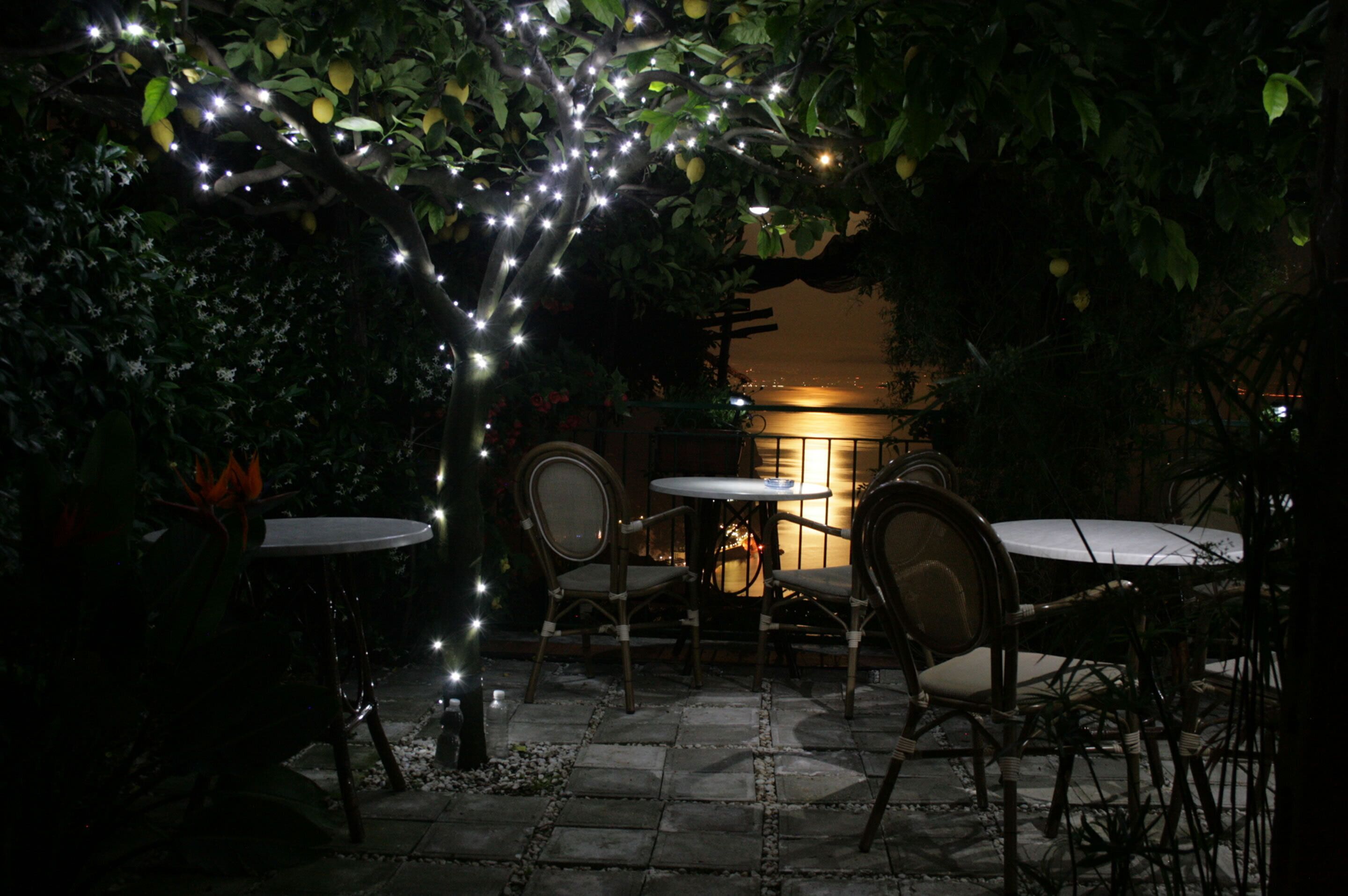 Foto - B&B Ravello Rooms