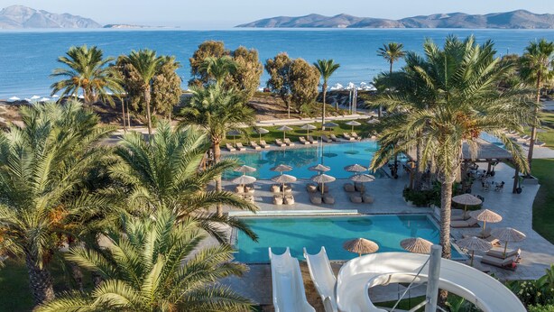 Un área de piscina en un resort con toboganes, sillas de descanso, sombrillas y palmeras.